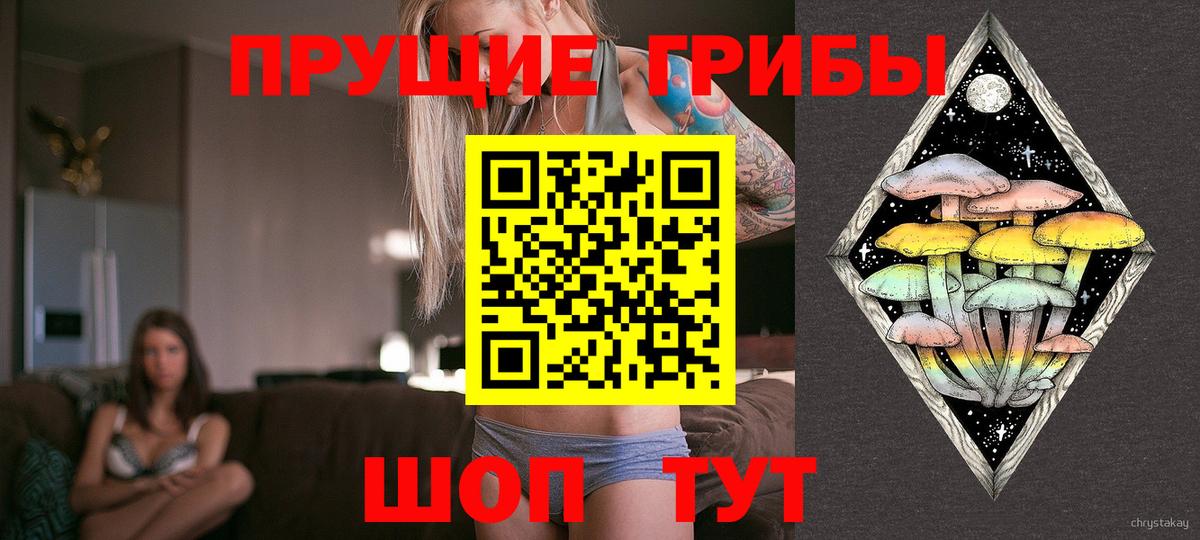 Псилоцибиновые грибы ЛСД  Вход с VPN  Глазов 