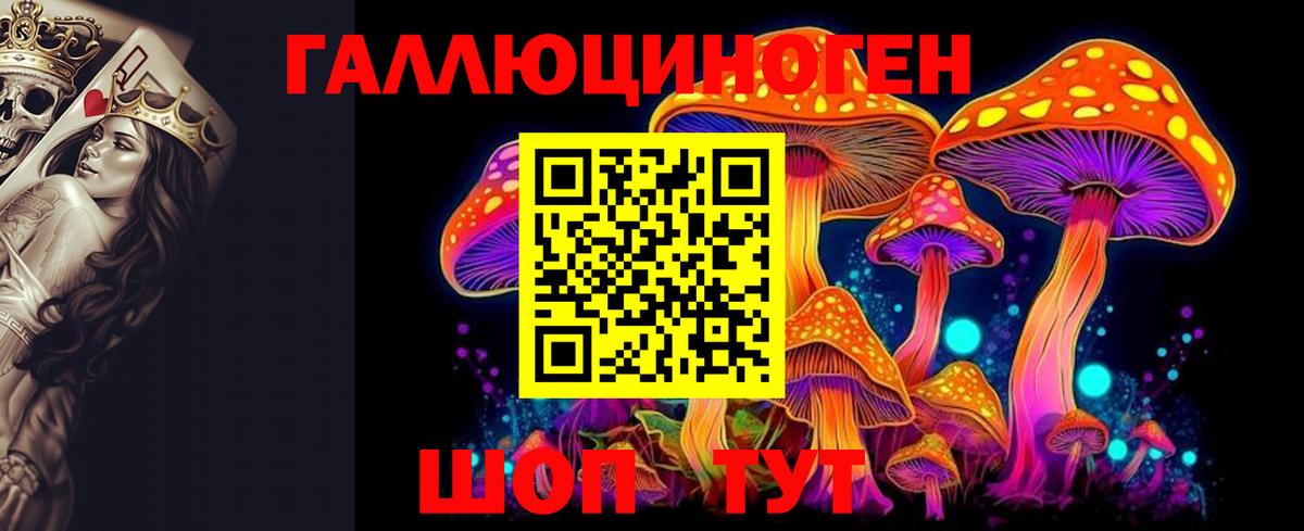 Галлюциногенные грибы Cubensis Глазов